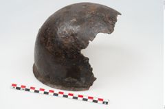 Foto von Eisenhelm (NHMW-PRAE-048323)